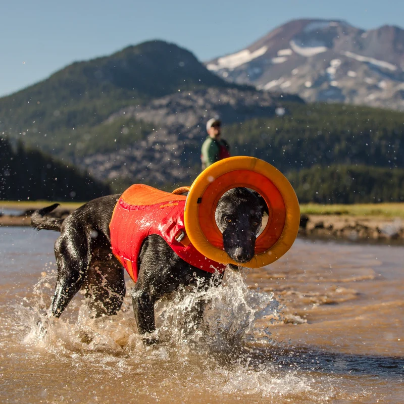 Ruffwear Hydro Plane – Schwimmendes Wasserspielzeug für apportierfreudige Hunde | Robust & gut sichtbar für Seen, Flüsse & Meer
