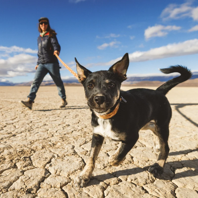 Ruffwear Crag Leash – Strapazierfähige Outdoor-Hundeleine für Wanderungen, Klettern & Abenteuer mit deinem Hund