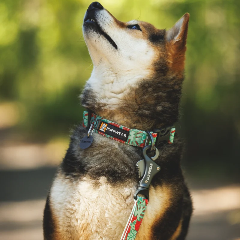 Ruffwear Crag Leash – Strapazierfähige Outdoor-Hundeleine für Wanderungen, Klettern & Abenteuer mit deinem Hund