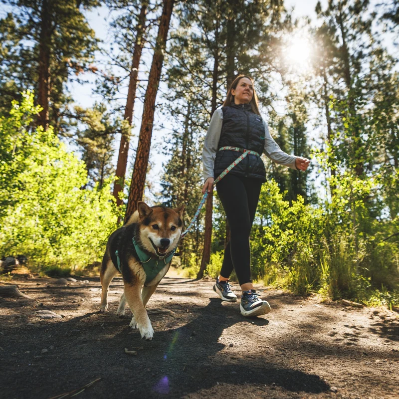 Ruffwear Crag Leash – Strapazierfähige Outdoor-Hundeleine für Wanderungen, Klettern & Abenteuer mit deinem Hund