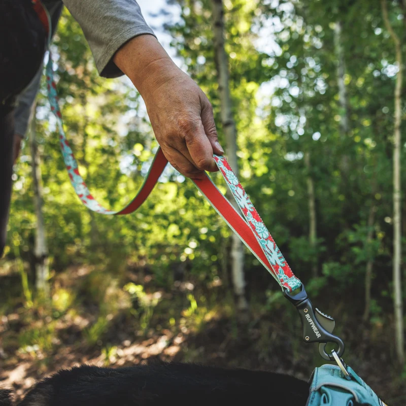 Ruffwear Crag Leash – Strapazierfähige Outdoor-Hundeleine für Wanderungen, Klettern & Abenteuer mit deinem Hund