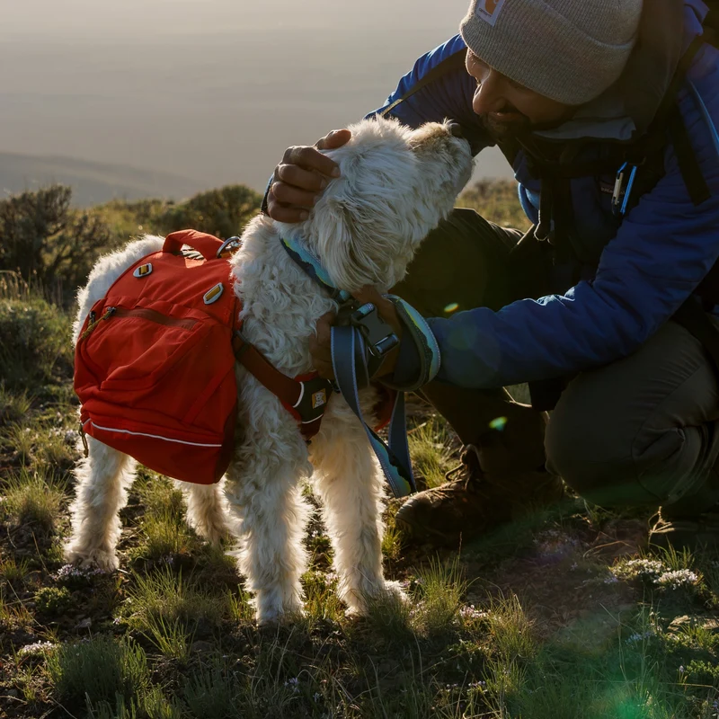 Ruffwear Crag Leash – Strapazierfähige Outdoor-Hundeleine für Wanderungen, Klettern & Abenteuer mit deinem Hund