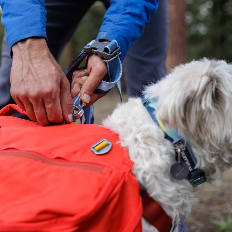Ruffwear Crag Leash – Strapazierfähige Outdoor-Hundeleine für Wanderungen, Klettern & Abenteuer mit deinem Hund