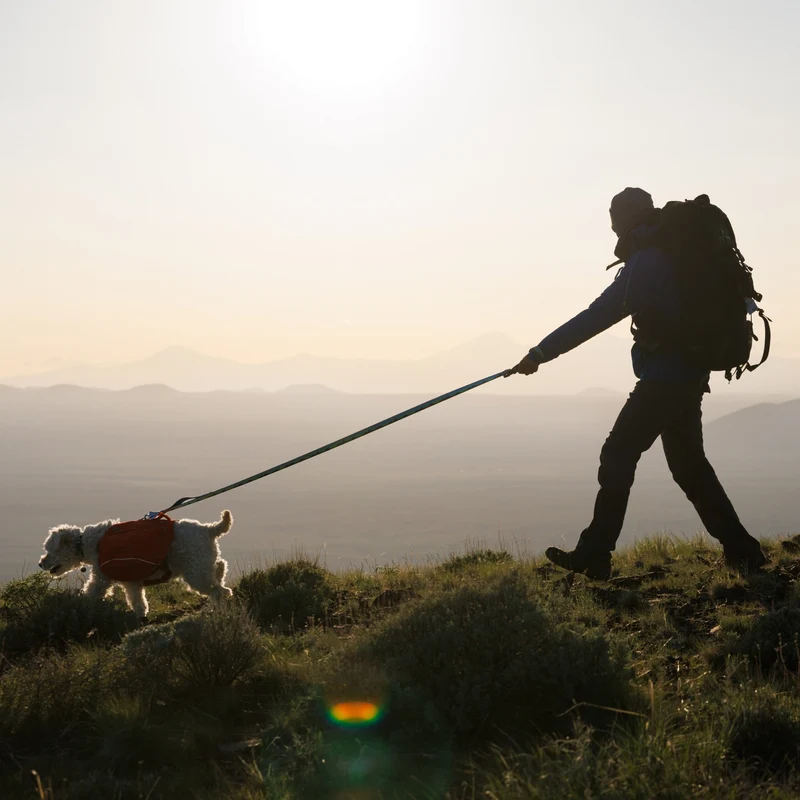 Ruffwear Crag Leash – Strapazierfähige Outdoor-Hundeleine für Wanderungen, Klettern & Abenteuer mit deinem Hund