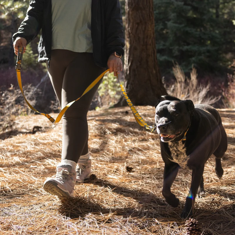 Ruffwear Crag Leash – Strapazierfähige Outdoor-Hundeleine für Wanderungen, Klettern & Abenteuer mit deinem Hund