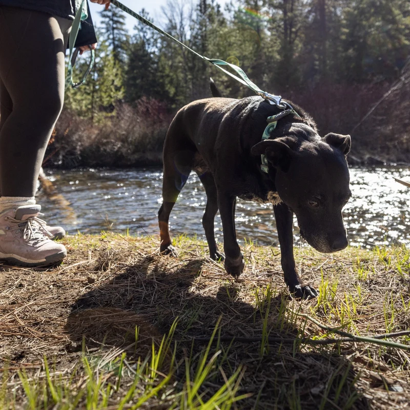 Ruffwear Crag Leash – Strapazierfähige Outdoor-Hundeleine für Wanderungen, Klettern & Abenteuer mit deinem Hund