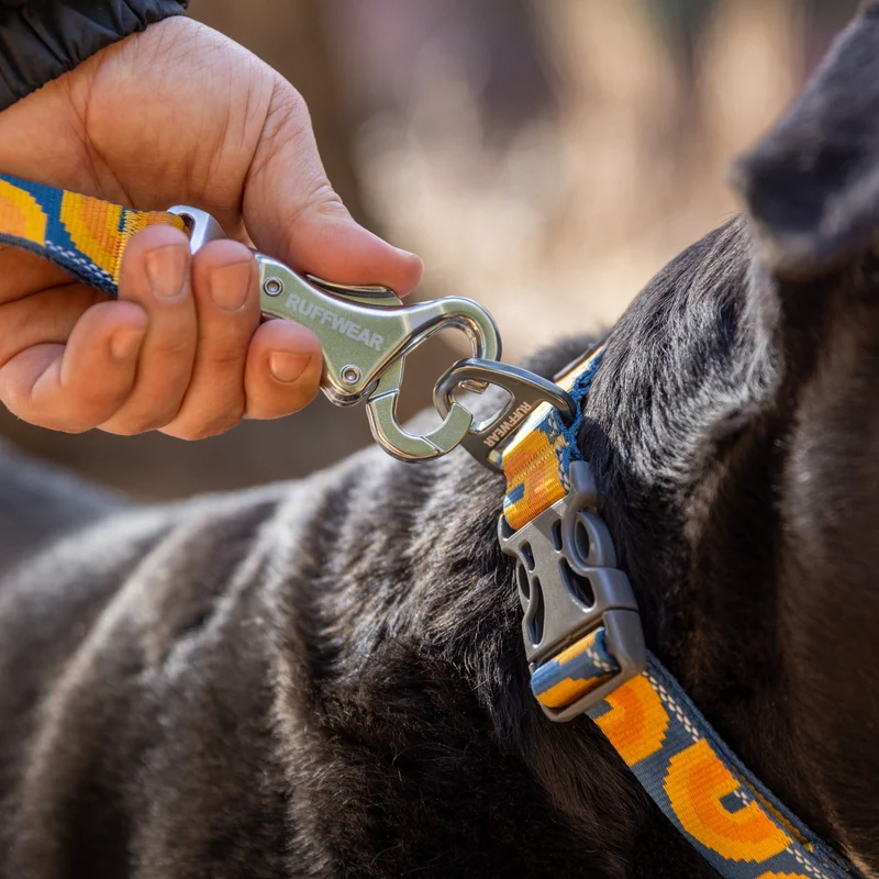 Ruffwear Crag Leash – Strapazierfähige Outdoor-Hundeleine für Wanderungen, Klettern & Abenteuer mit deinem Hund