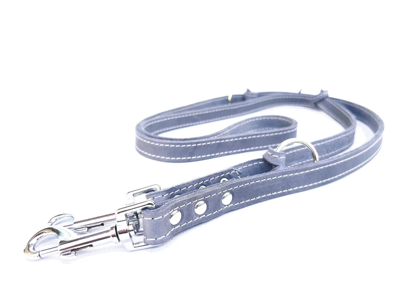 Bolleband | Leine Classic Chrom
