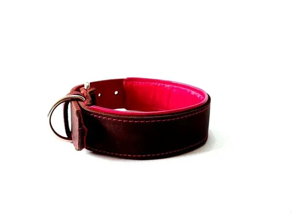 Bolleband | Halsband Classic gepolstert Edelstahl