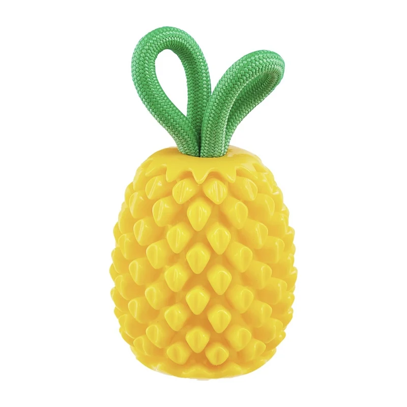 Planet Dog Dental Pineapple – Zahnpflege-Kauspielzeug mit Minzduft für gesunde Zähne & frischen Atem