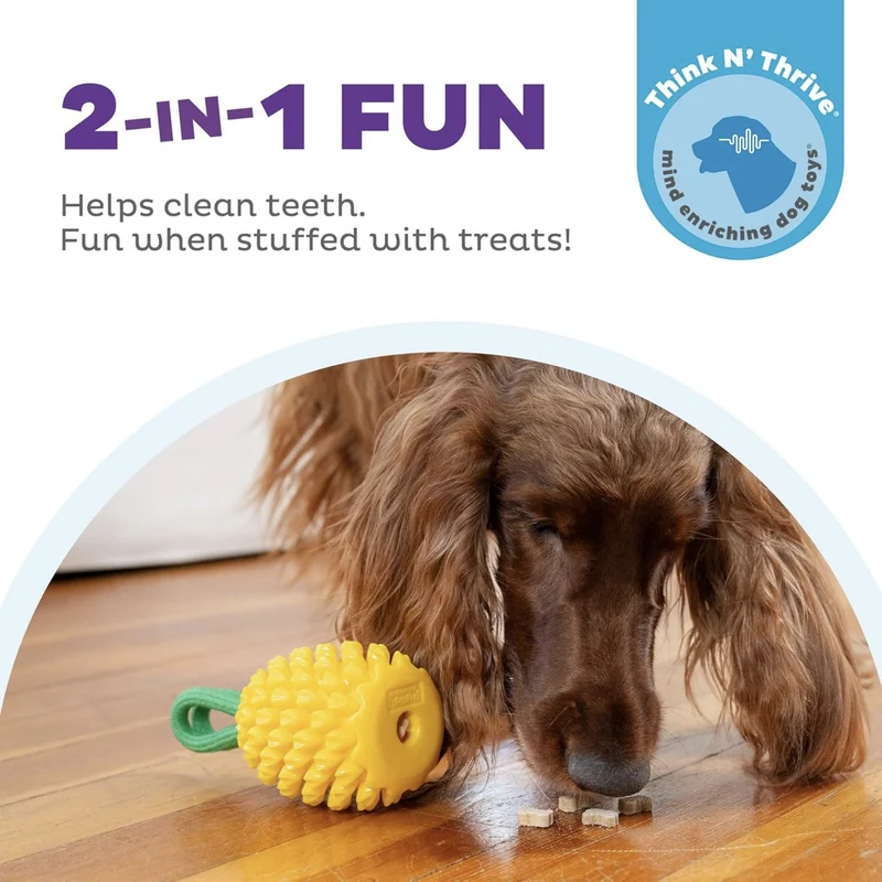 Planet Dog Dental Pineapple – Zahnpflege-Kauspielzeug mit Minzduft für gesunde Zähne & frischen Atem