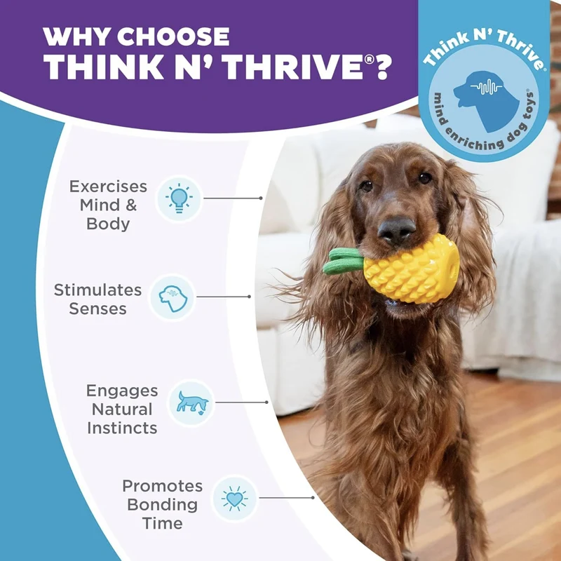 Planet Dog Dental Pineapple – Zahnpflege-Kauspielzeug mit Minzduft für gesunde Zähne & frischen Atem