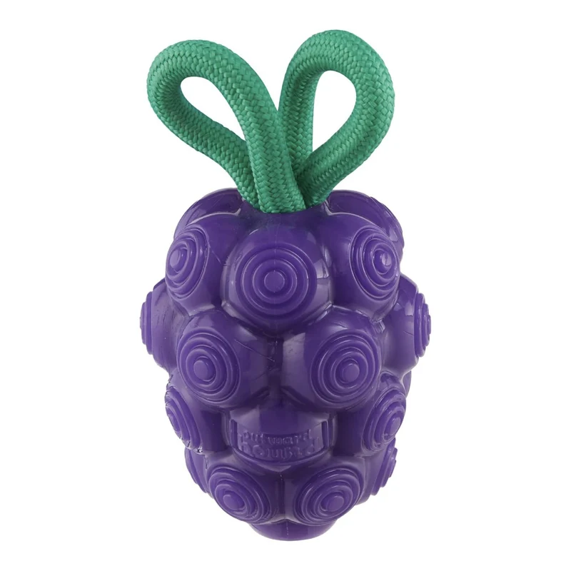 Planet Dog Dental Grapes Kauspielzeug – Zahnpflege-Ball für gesunde Zähne, frischen Atem & aktiven Spielspaß