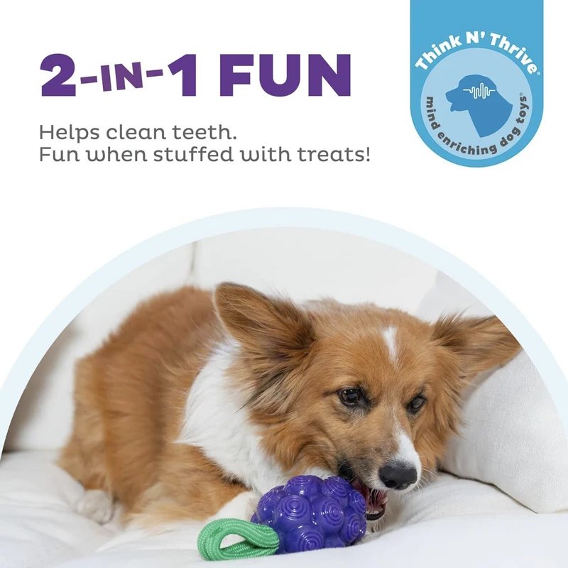 Planet Dog Dental Grapes Kauspielzeug – Zahnpflege-Ball für gesunde Zähne, frischen Atem & aktiven Spielspaß