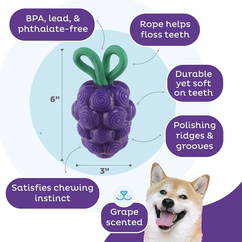 Planet Dog Dental Grapes Kauspielzeug – Zahnpflege-Ball für gesunde Zähne, frischen Atem & aktiven Spielspaß