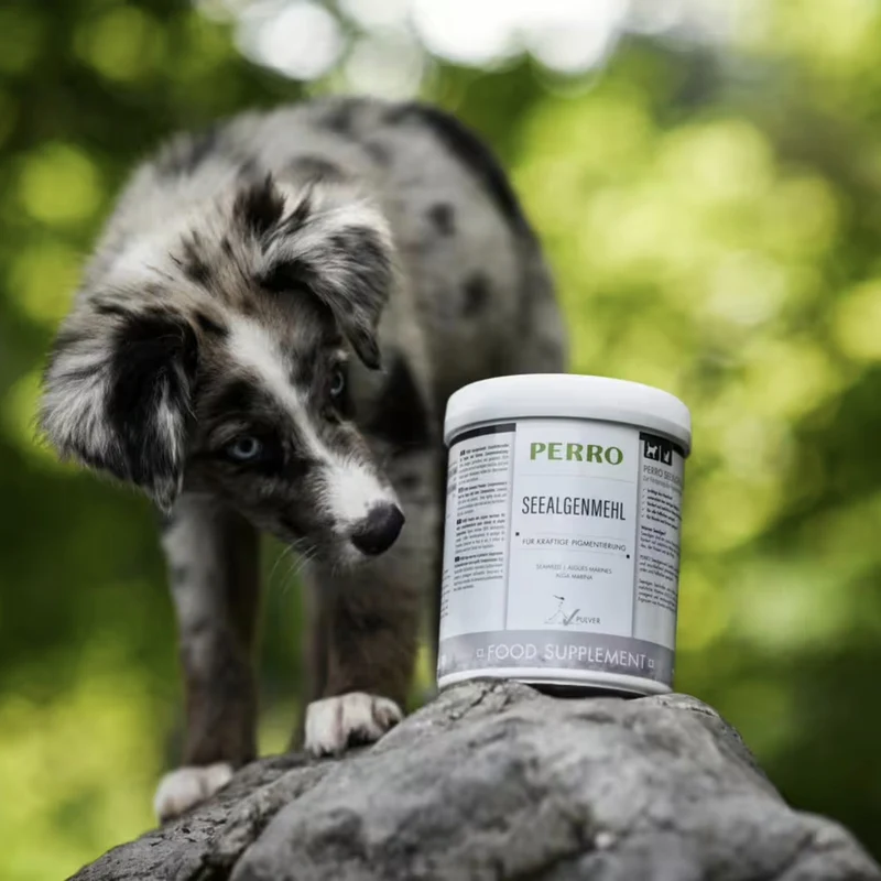 Perro Seealgenmehl für Hunde – Natürliche Mineralien & Vitamine für glänzendes Fell, starke Pigmentierung & gesunde Verdauung