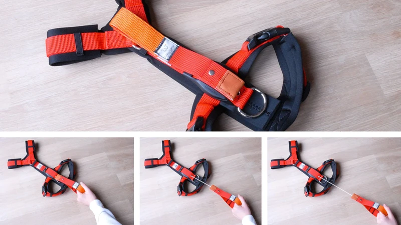 WowWow | Halsband & Geschirr mit integrierter Leine