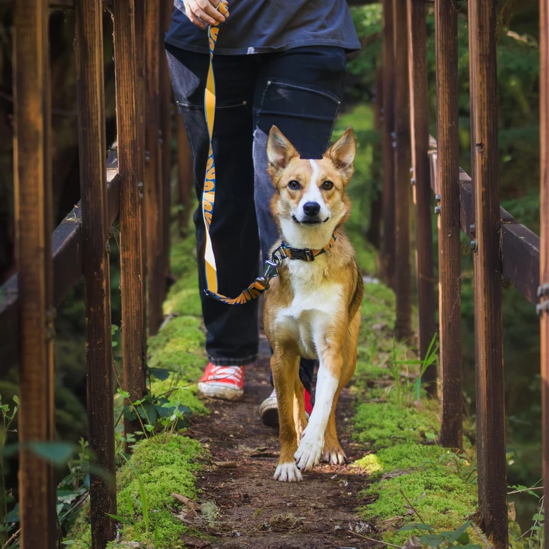 Ruffwear Crag EX Leash – Premium Outdoor-Hundeleine mit stufenloser Längenverstellung für maximale Kontrolle und Komfort bei jedem Abenteuer
