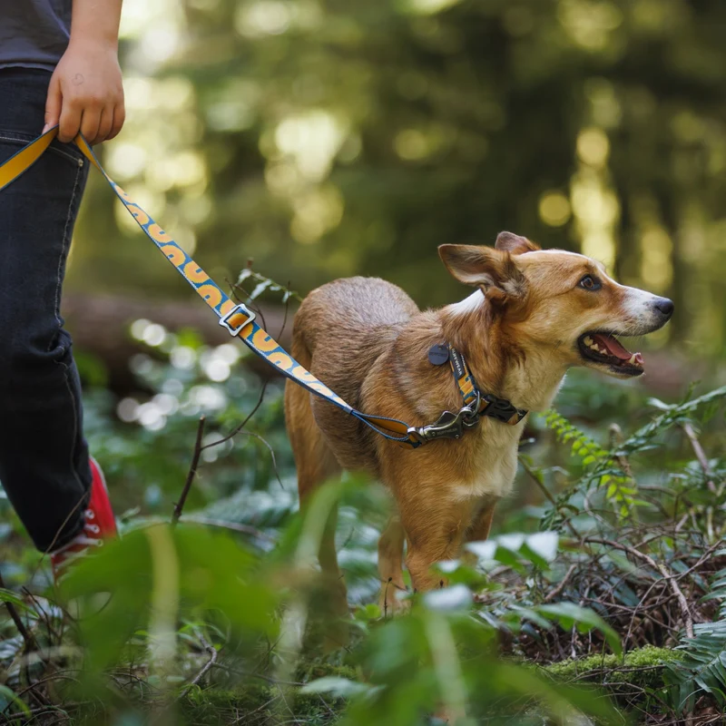 Ruffwear Crag EX Leash – Premium Outdoor-Hundeleine mit stufenloser Längenverstellung für maximale Kontrolle und Komfort bei jedem Abenteuer