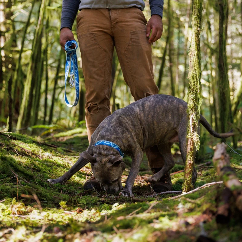 Ruffwear Crag EX Leash – Premium Outdoor-Hundeleine mit stufenloser Längenverstellung für maximale Kontrolle und Komfort bei jedem Abenteuer