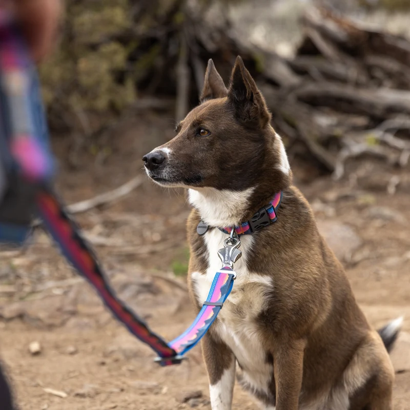 Ruffwear Crag EX Leash – Premium Outdoor-Hundeleine mit stufenloser Längenverstellung für maximale Kontrolle und Komfort bei jedem Abenteuer