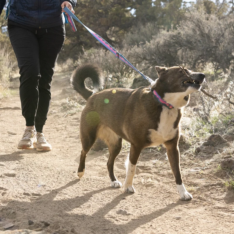 Ruffwear Crag EX Leash – Premium Outdoor-Hundeleine mit stufenloser Längenverstellung für maximale Kontrolle und Komfort bei jedem Abenteuer