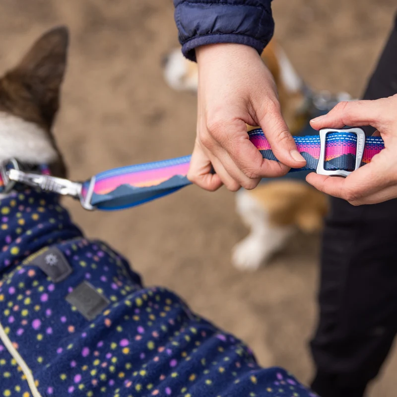 Ruffwear Crag EX Leash – Premium Outdoor-Hundeleine mit stufenloser Längenverstellung für maximale Kontrolle und Komfort bei jedem Abenteuer