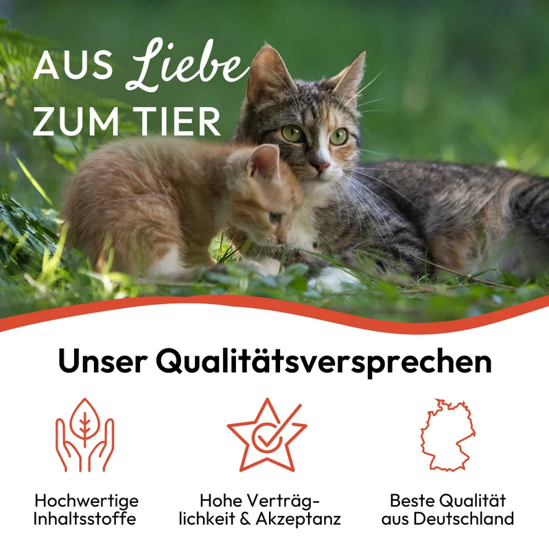 PHA Spot-onTropfen für Katzen 2 x 1,5 ml - 3 Stück