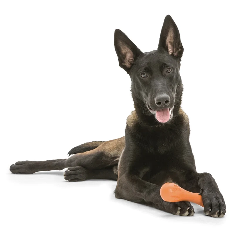 West Paw Zogoflex Hurley – Robustes Kauspielzeug für Hunde, schwimmfähig & spülmaschinenfest