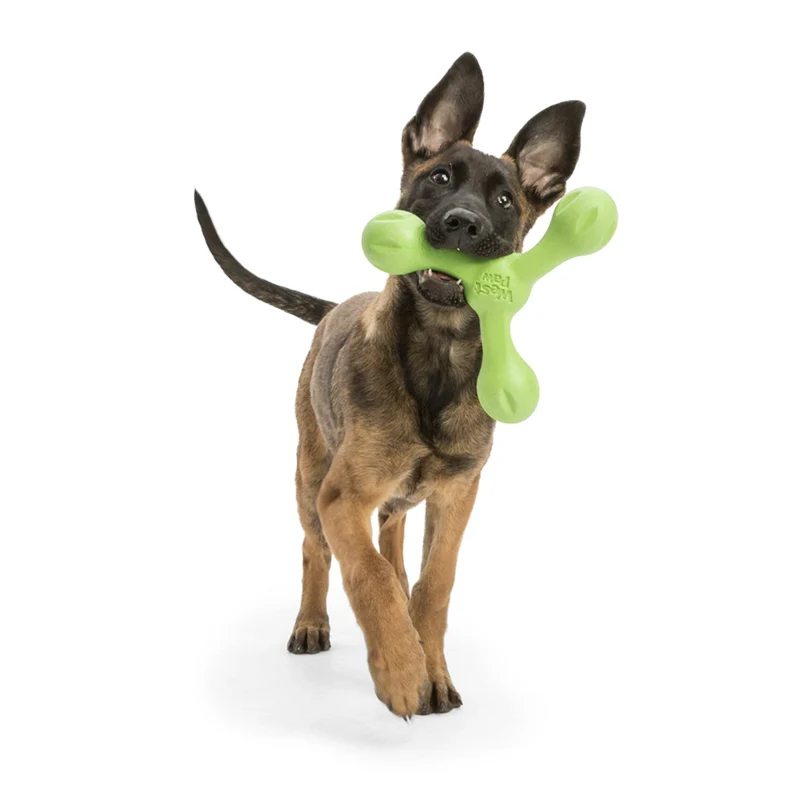 West Paw Zogoflex Skamp – Robustes Hundespielzeug für aktive Hunde | Flexibel, Kauresistent & Spülmaschinenfest