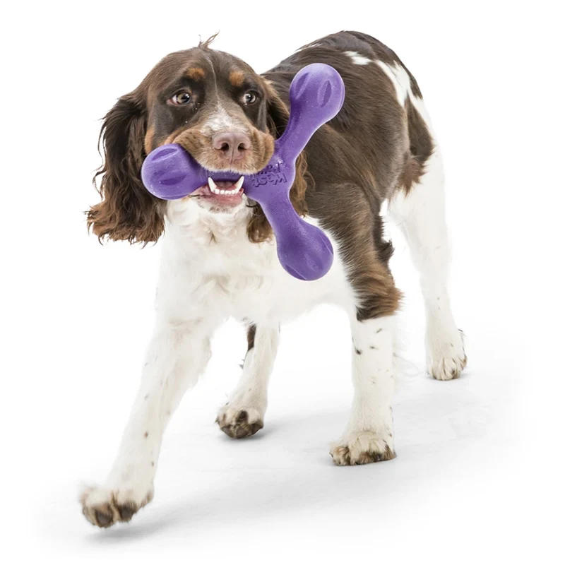 West Paw Zogoflex Skamp – Robustes Hundespielzeug für aktive Hunde | Flexibel, Kauresistent & Spülmaschinenfest