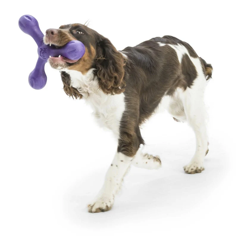 West Paw Zogoflex Skamp – Robustes Hundespielzeug für aktive Hunde | Flexibel, Kauresistent & Spülmaschinenfest