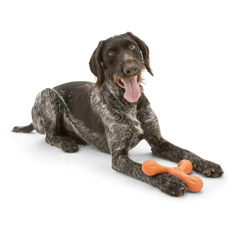 West Paw Zogoflex Skamp – Robustes Hundespielzeug für aktive Hunde | Flexibel, Kauresistent & Spülmaschinenfest