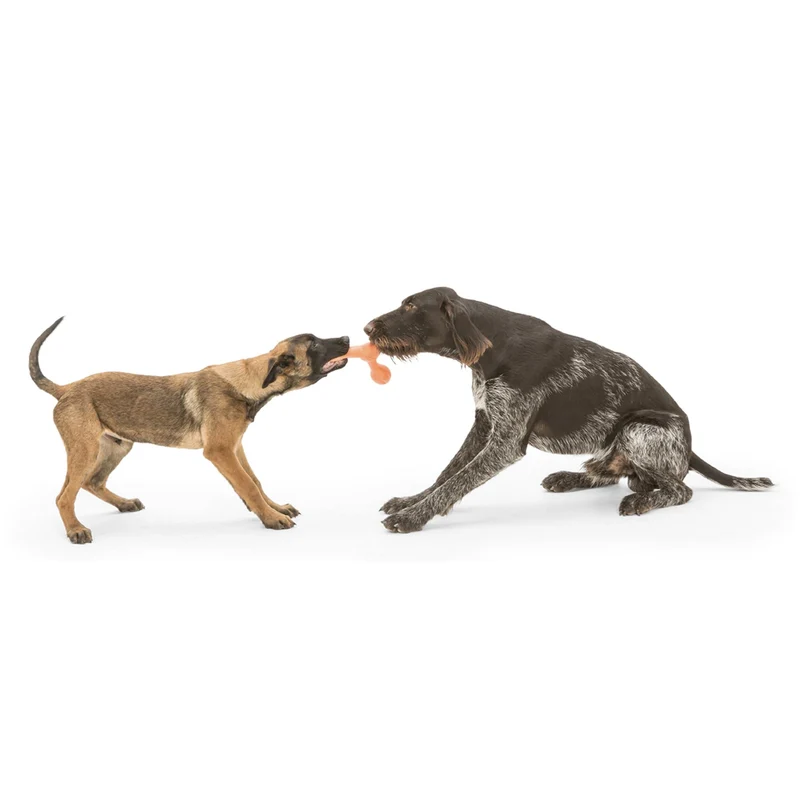 West Paw Zogoflex Skamp – Robustes Hundespielzeug für aktive Hunde | Flexibel, Kauresistent & Spülmaschinenfest