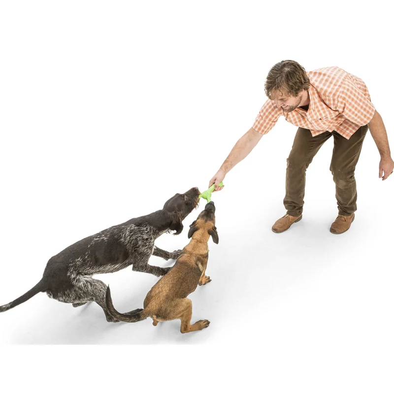 West Paw Zogoflex Skamp – Robustes Hundespielzeug für aktive Hunde | Flexibel, Kauresistent & Spülmaschinenfest