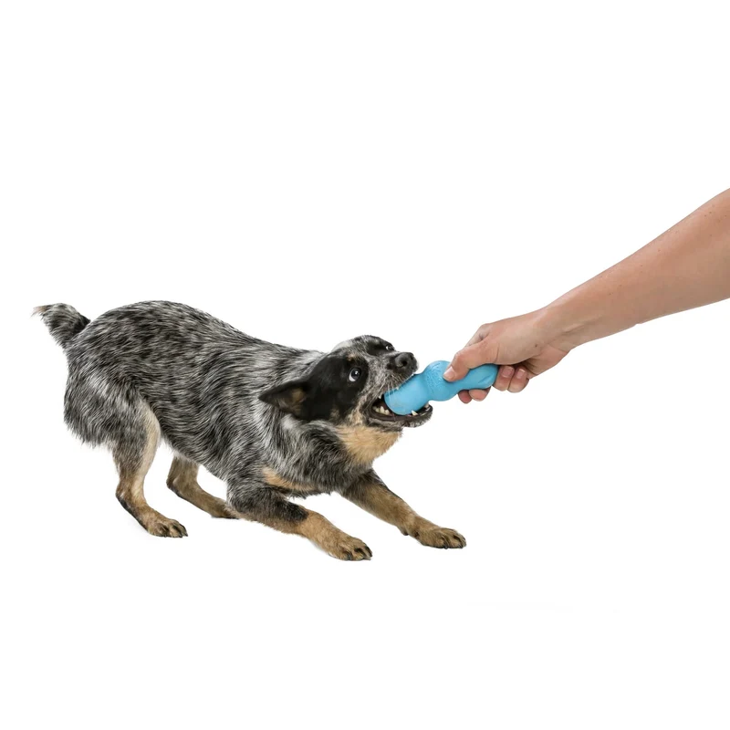 West Paw Zogoflex Rumpus – Robustes Hundespielzeug für Power-Kauer, schwimmfähig & zahnschonend