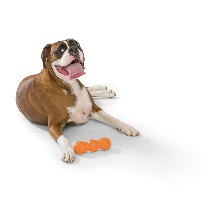 West Paw Zogoflex Rumpus – Robustes Hundespielzeug für Power-Kauer, schwimmfähig & zahnschonend