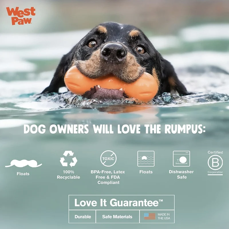 West Paw Zogoflex Rumpus – Robustes Hundespielzeug für Power-Kauer, schwimmfähig & zahnschonend