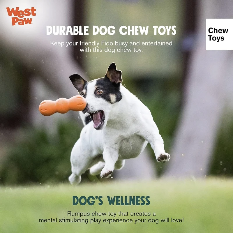 West Paw Zogoflex Rumpus – Robustes Hundespielzeug für Power-Kauer, schwimmfähig & zahnschonend