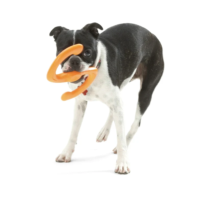 West Paw Zogoflex Bumi – Interaktives Zerrspielzeug für aktive Hunde | Robust, flexibel & perfekt für Apportieren