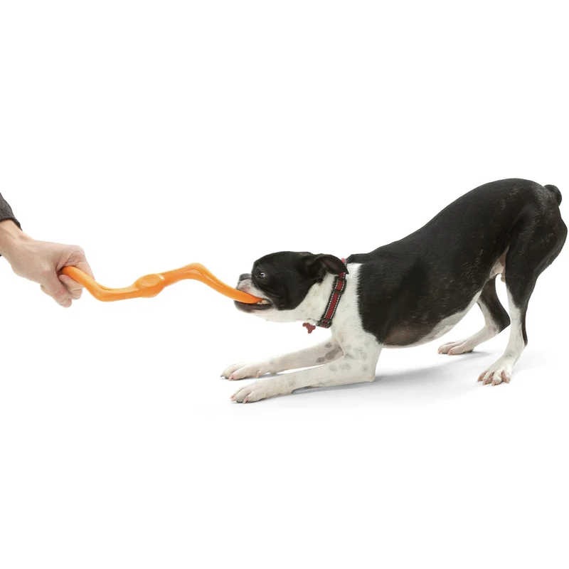 West Paw Zogoflex Bumi – Interaktives Zerrspielzeug für aktive Hunde | Robust, flexibel & perfekt für Apportieren