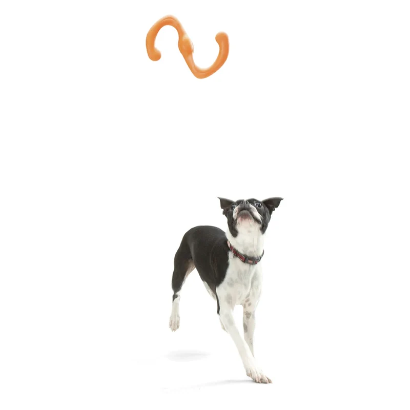 West Paw Zogoflex Bumi – Interaktives Zerrspielzeug für aktive Hunde | Robust, flexibel & perfekt für Apportieren
