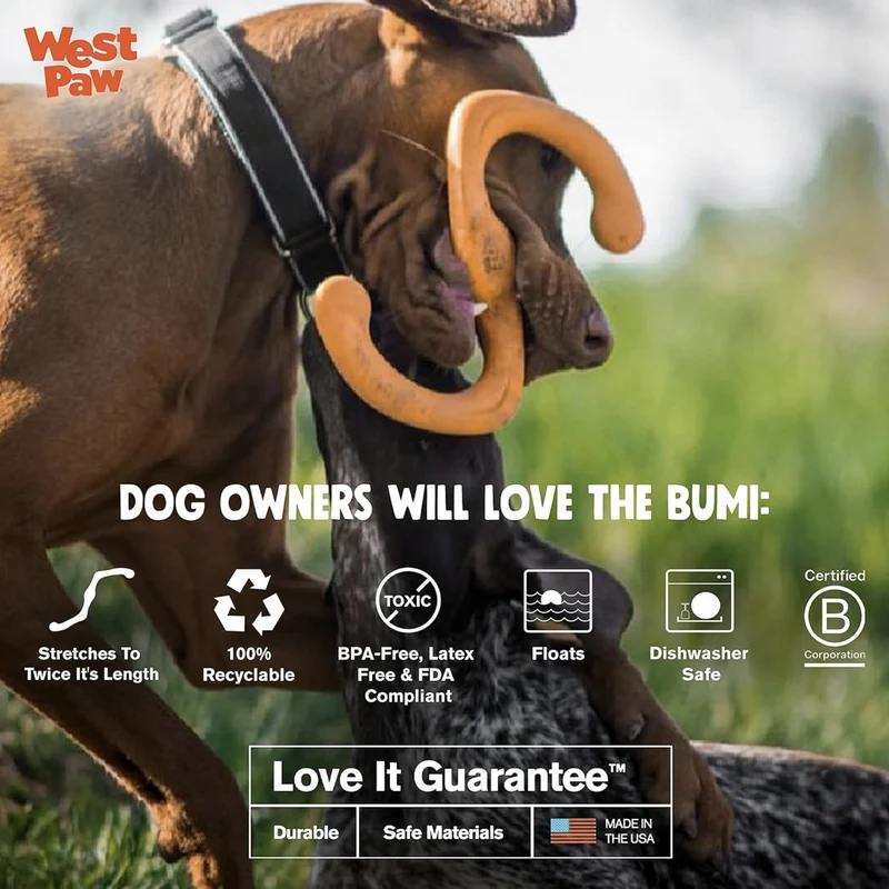 West Paw Zogoflex Bumi – Interaktives Zerrspielzeug für aktive Hunde | Robust, flexibel & perfekt für Apportieren