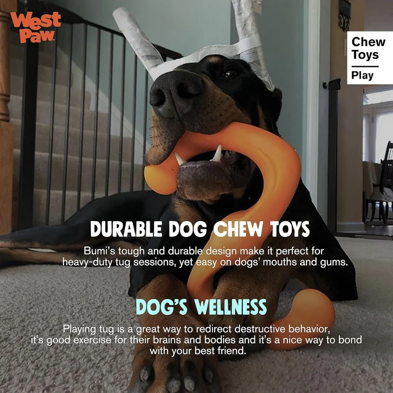 West Paw Zogoflex Bumi – Interaktives Zerrspielzeug für aktive Hunde | Robust, flexibel & perfekt für Apportieren