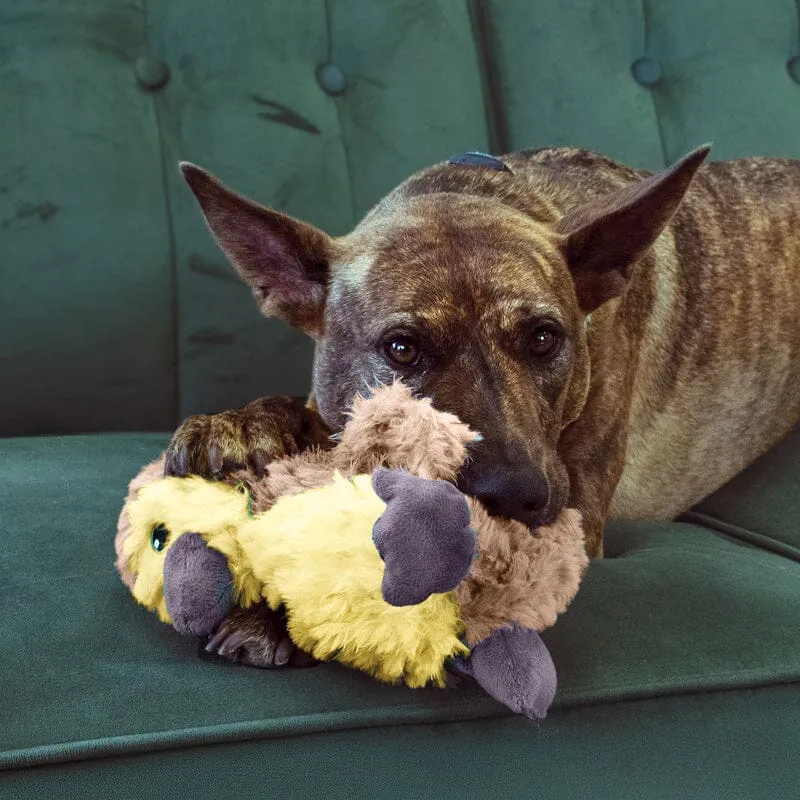 KONG | Comfort Tykes