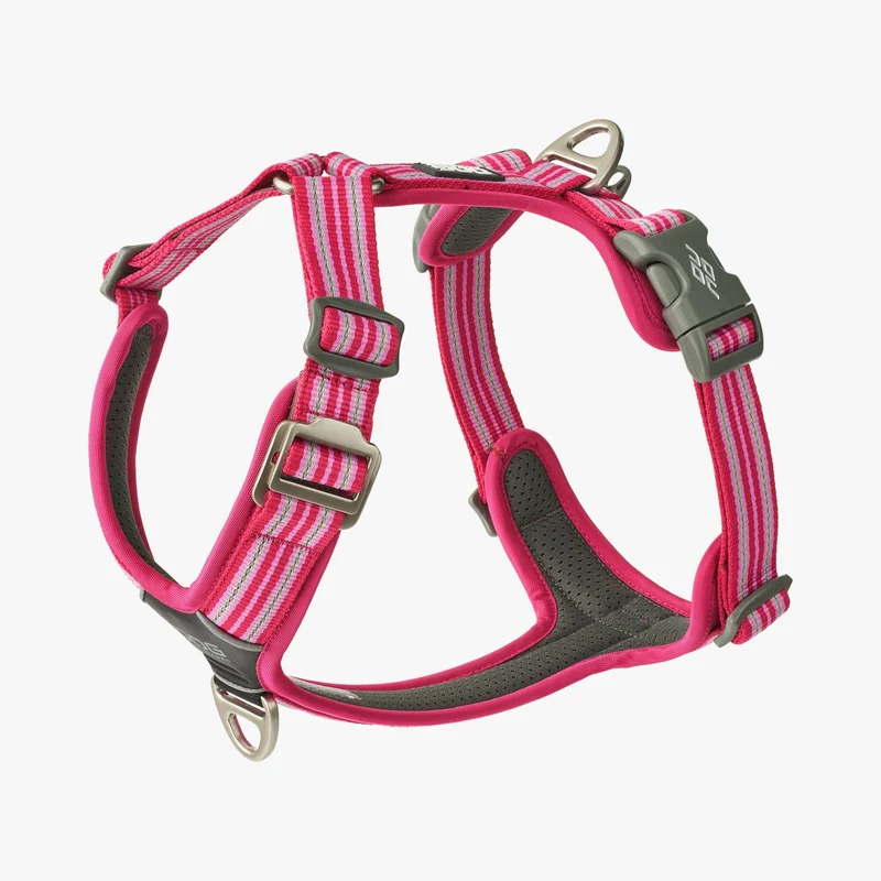 DOG Copenhagen | Comfort Walk Air™