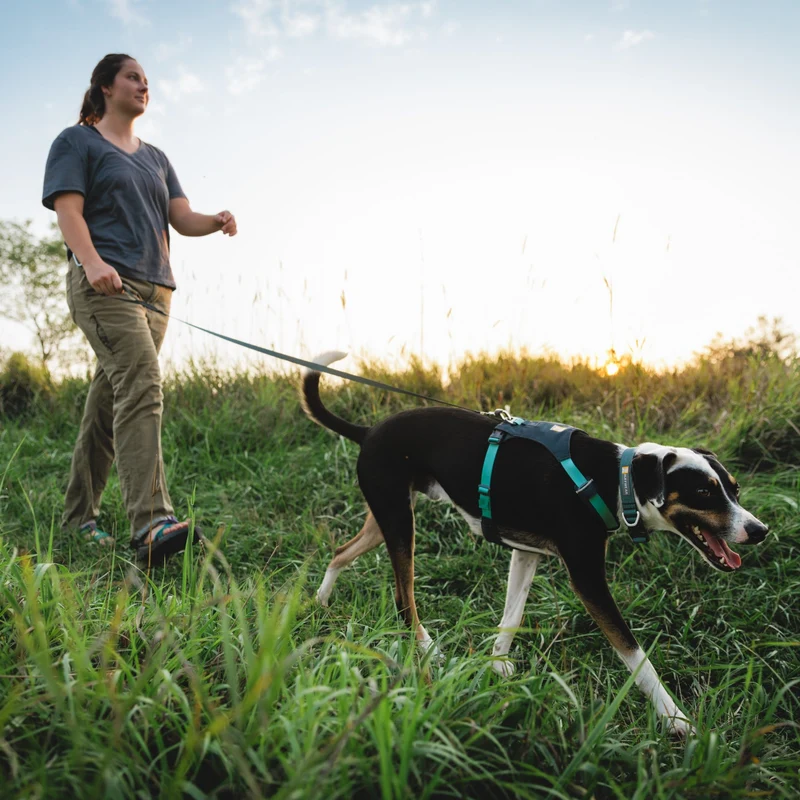 Ruffwear Hi & Light Harness – Ultraleichtes Hundegeschirr für aktive Hunde, atmungsaktiv, reflektierend & schnelltrocknend