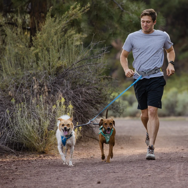 Ruffwear Hi & Light Harness – Ultraleichtes Hundegeschirr für aktive Hunde, atmungsaktiv, reflektierend & schnelltrocknend