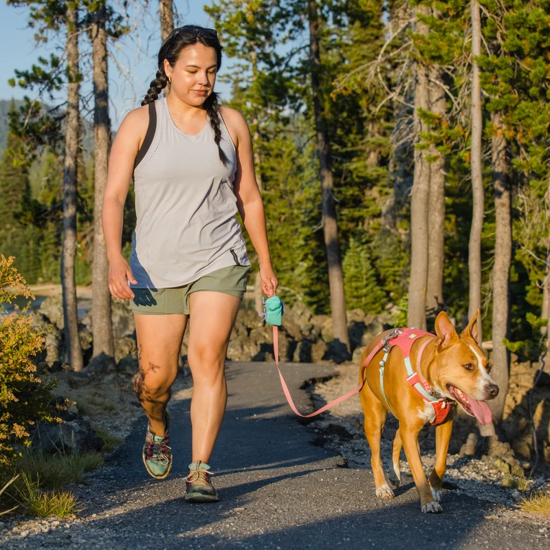 Ruffwear Hi & Light Harness – Ultraleichtes Hundegeschirr für aktive Hunde, atmungsaktiv, reflektierend & schnelltrocknend