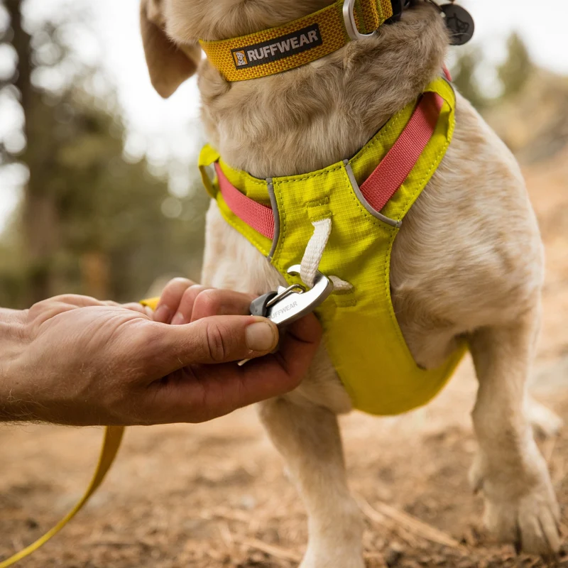 Ruffwear Hi & Light Harness – Ultraleichtes Hundegeschirr für aktive Hunde, atmungsaktiv, reflektierend & schnelltrocknend